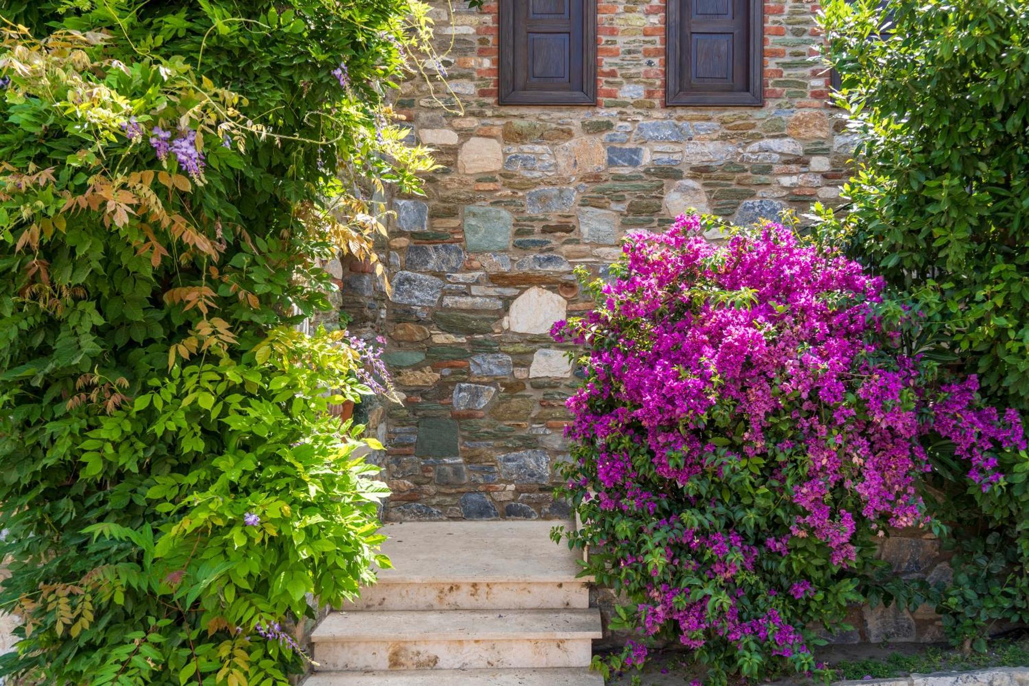 Villa Ionia House Selçuk Exterior foto