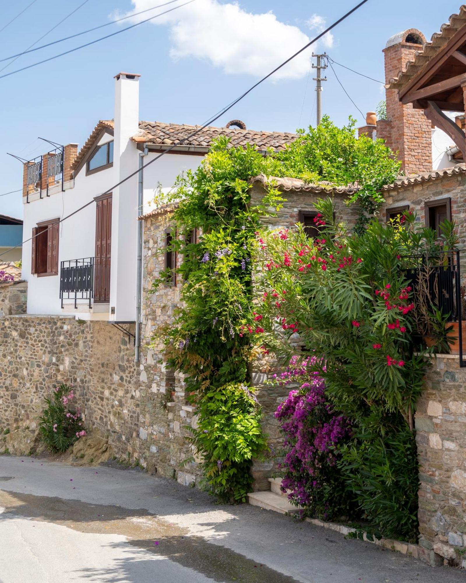 Villa Ionia House Selçuk Exterior foto